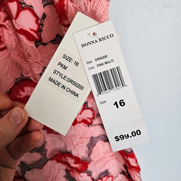 NWT Donna Ricco Strawberries & Cream Pink Sheer Embroidered Fit-and-Flare Dress - Picture 4 of 8